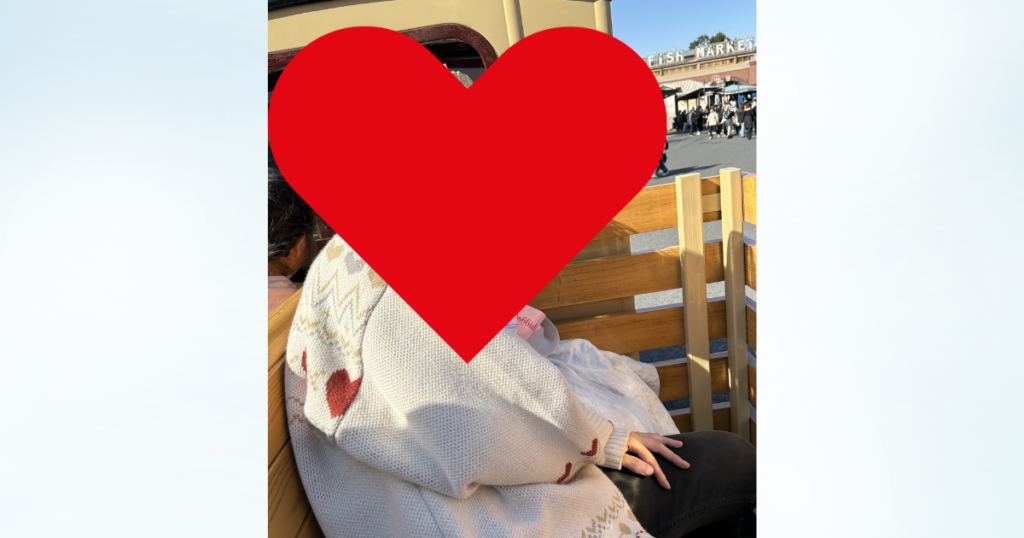 ビッグシティヴィーグル