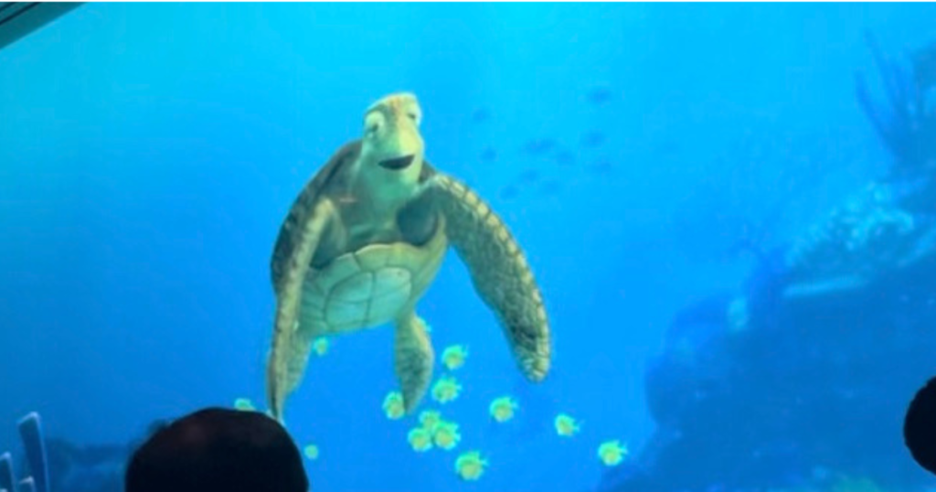 ディズニーシー　タートルトーク